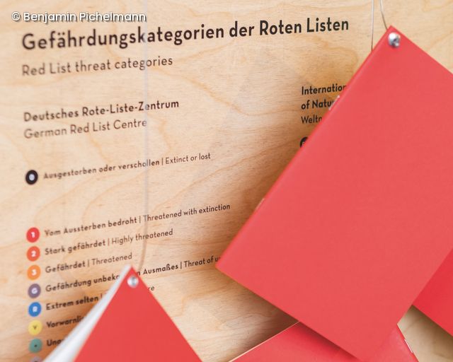 Rote Listen hängen an der Wand (Gefährdungskategorien)