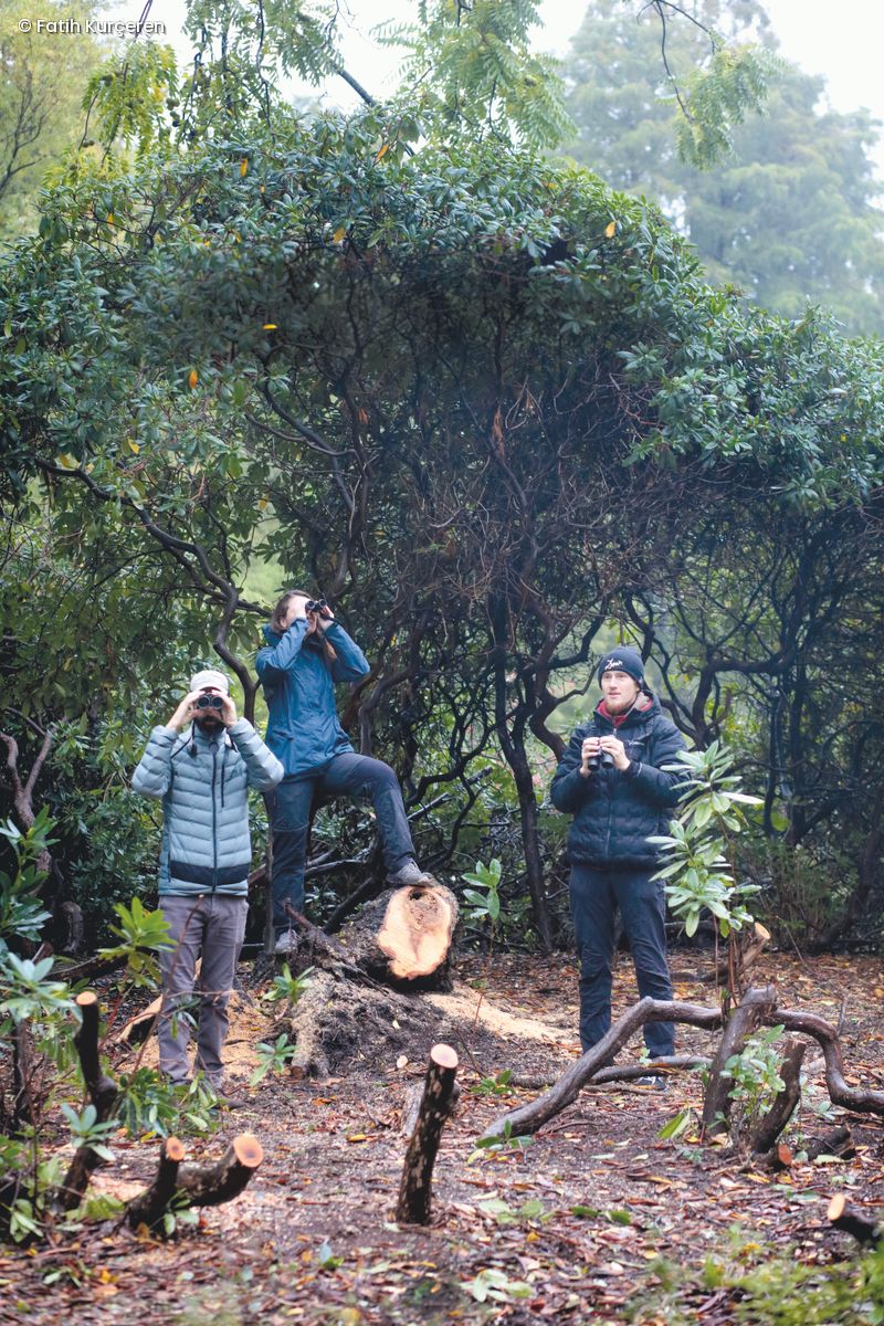 Dr. Nicholas Friedman und Doktorandin Veronika Samotskaya, Grigory Evtukh stehen mit Ferngläsern im Wald
