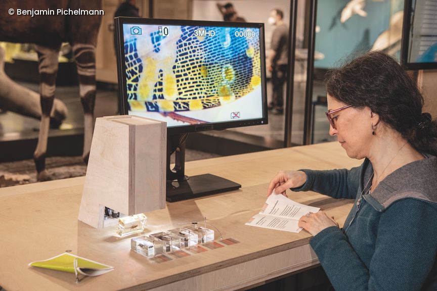 Frau sitzt vor Laptop und liest ein kleines Heft