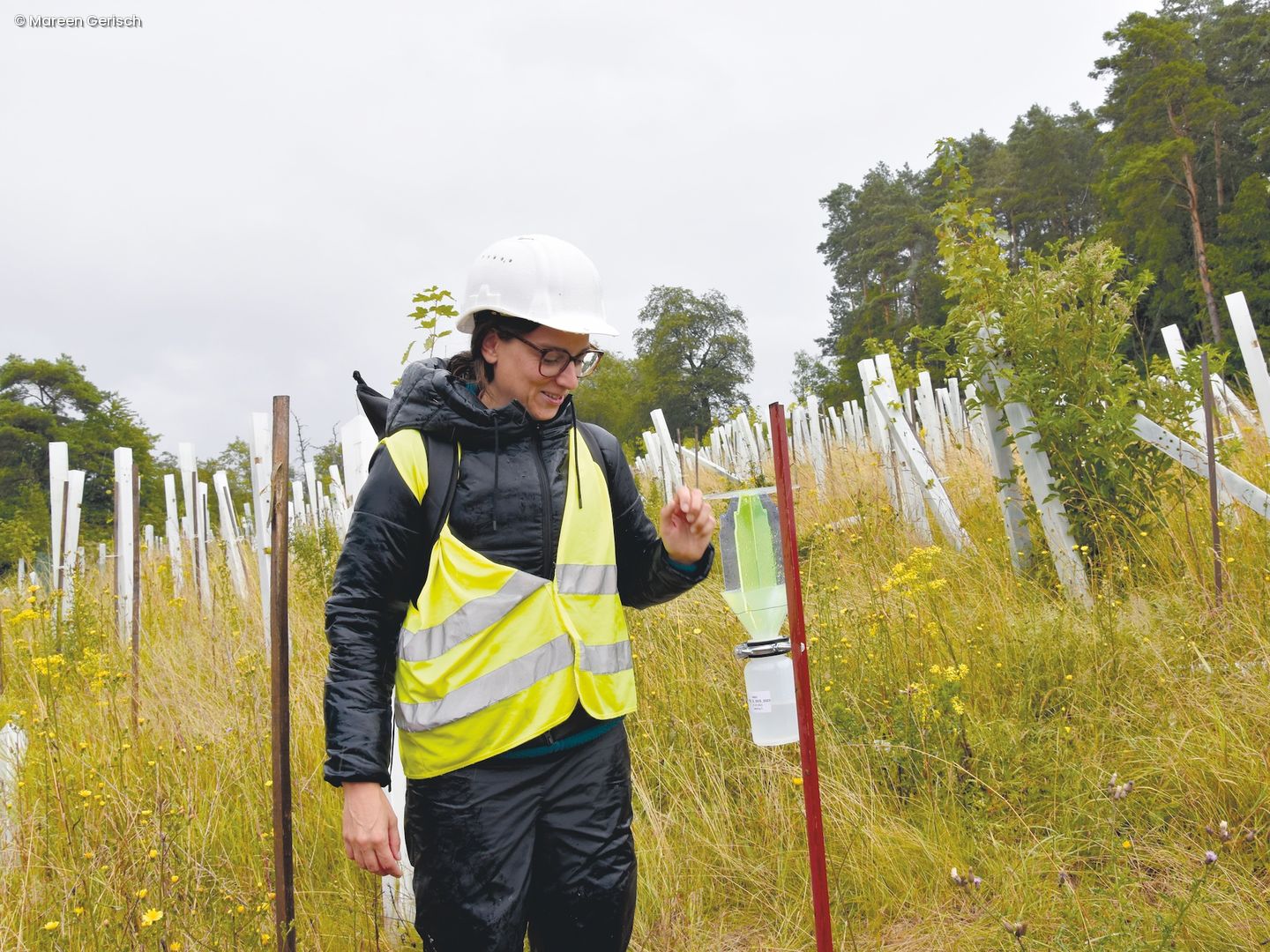 Dr. Vera Zizka mit einer Insektenfalle