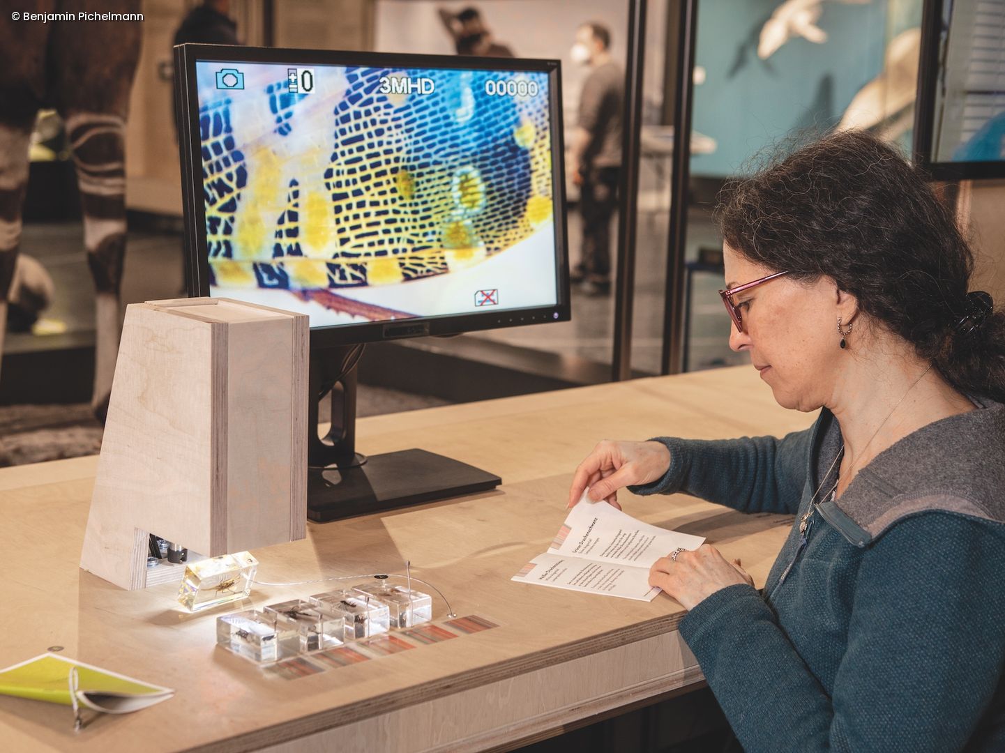 Frau sitzt vor Laptop und liest ein kleines Heft