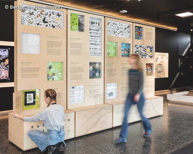 Ausstellung im Museum an der zwei Personen vorbeilaufen