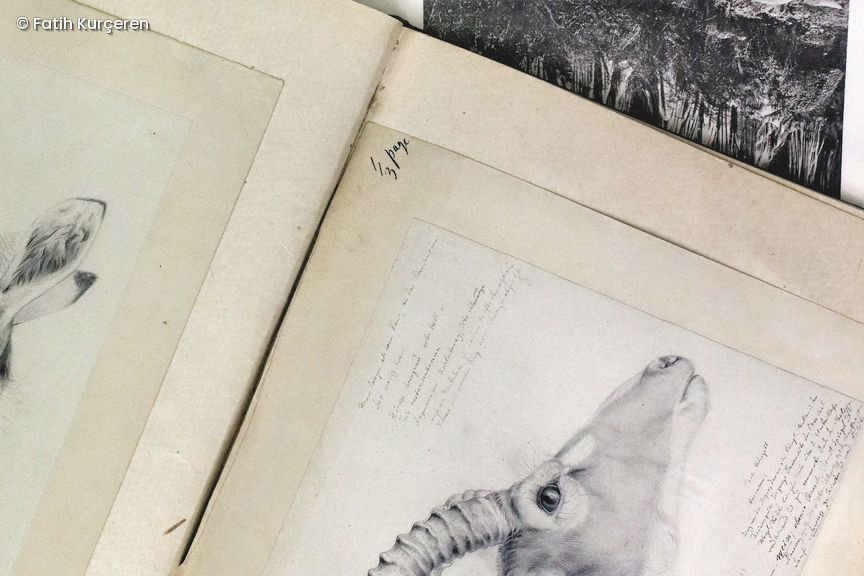 Zeichnungen und Bücher aus dem Archiv