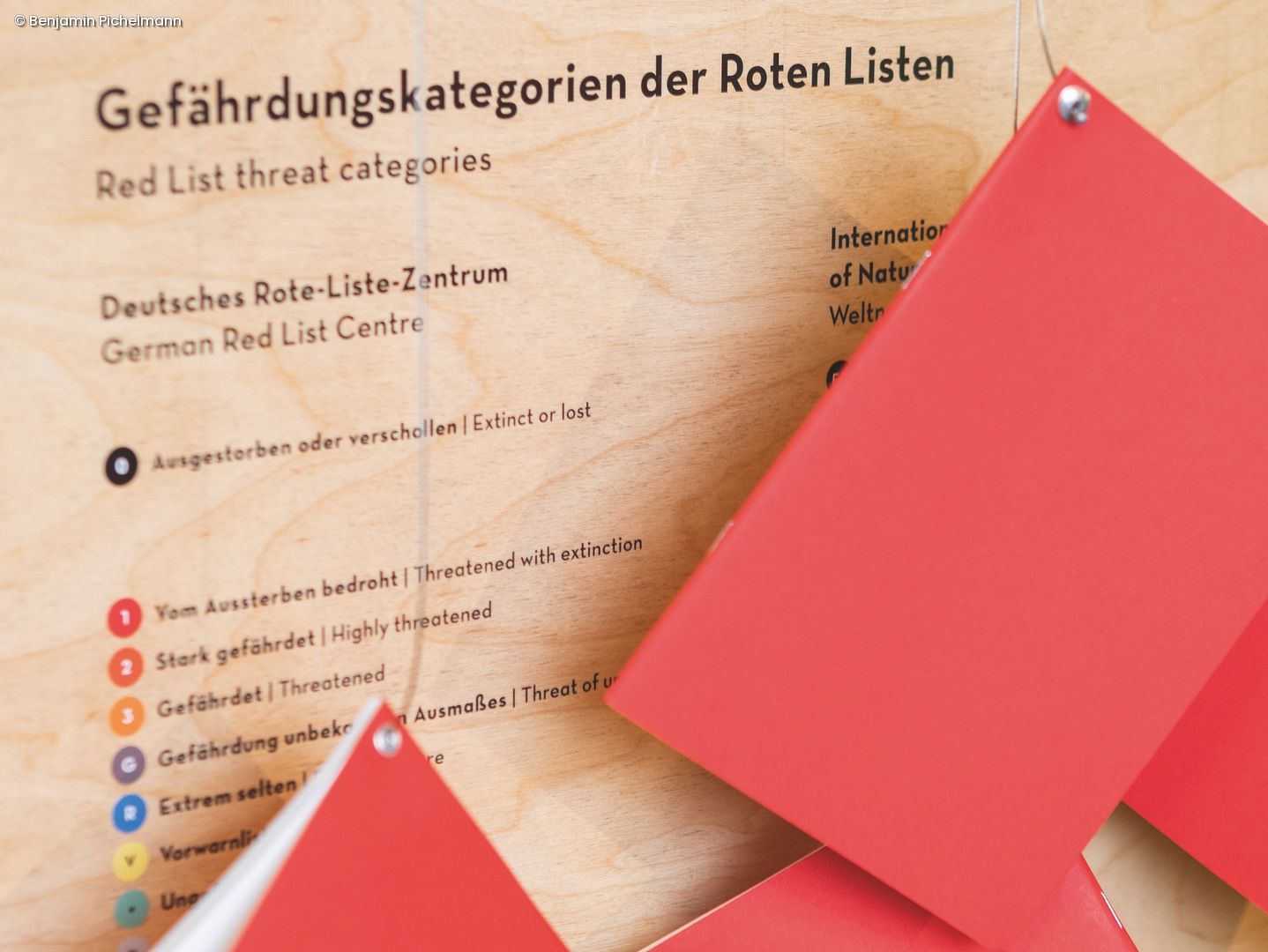 Rote Listen hängen an der Wand (Gefährdungskategorien)