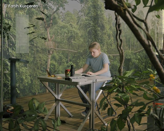 Eine Frau sitzt an einem Tisch im Dschungel und forscht/untersucht