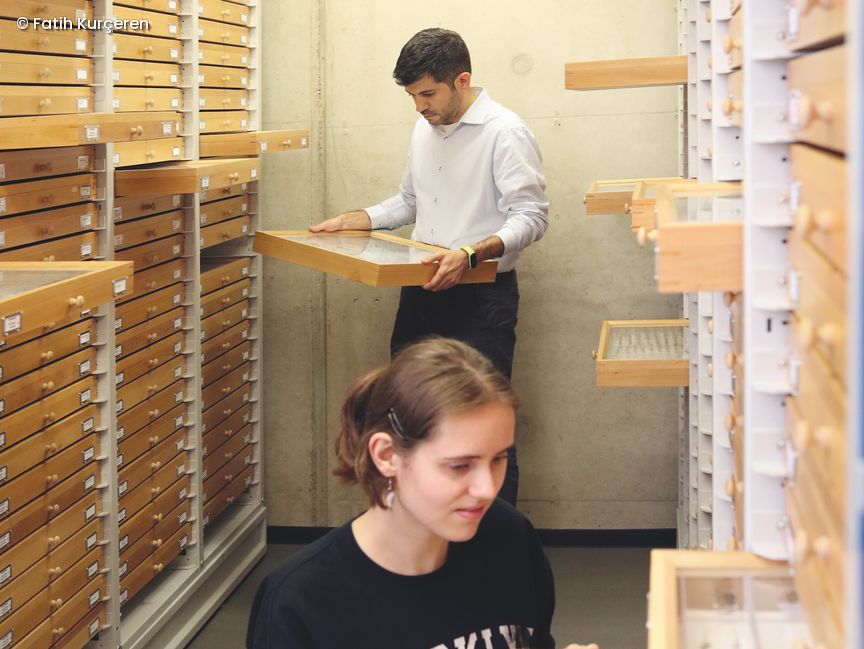 Zwei Personen in der Sammlung