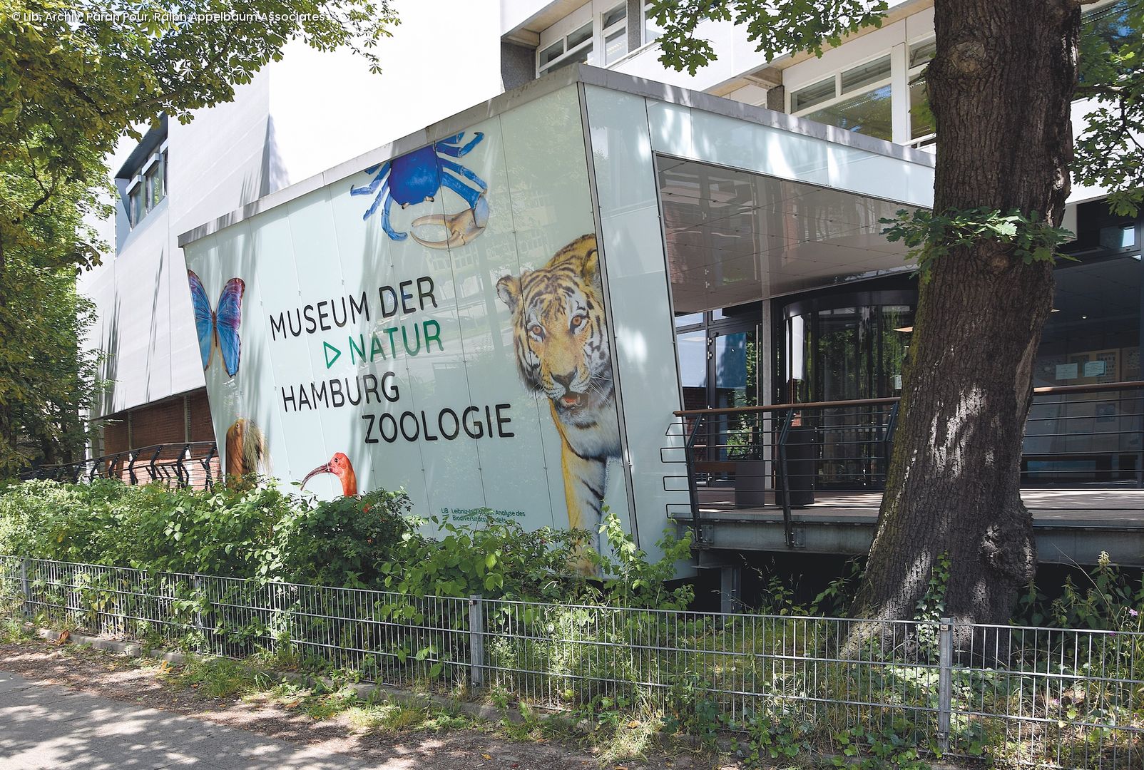 Museum der Natur Hamburg, Außenfassade