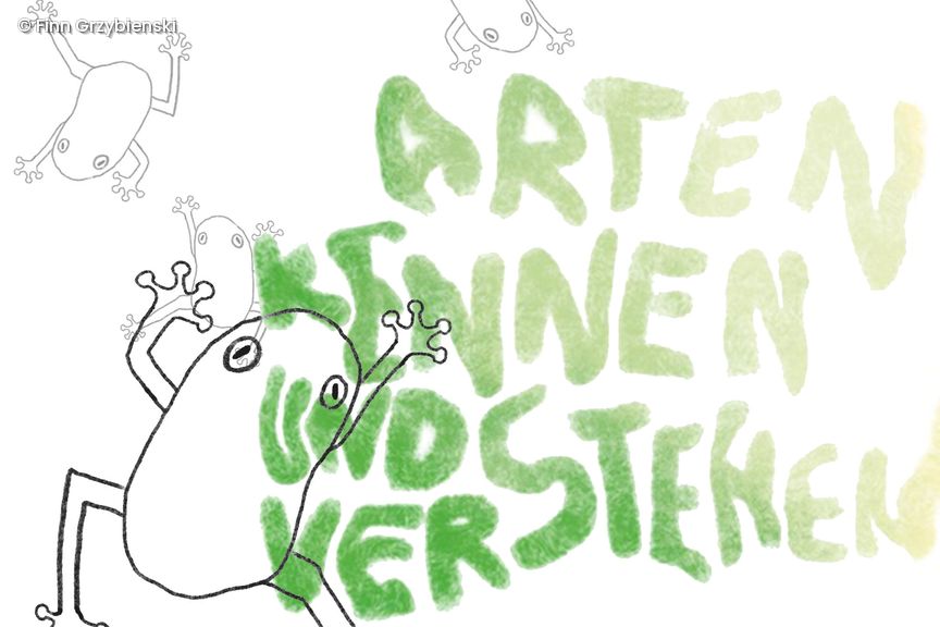 Illustration Frosch und Schriftzug