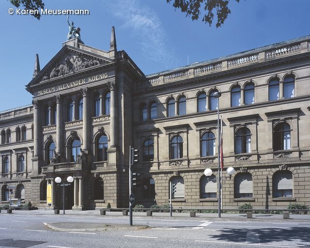 Museum König Bonn, Außenansicht