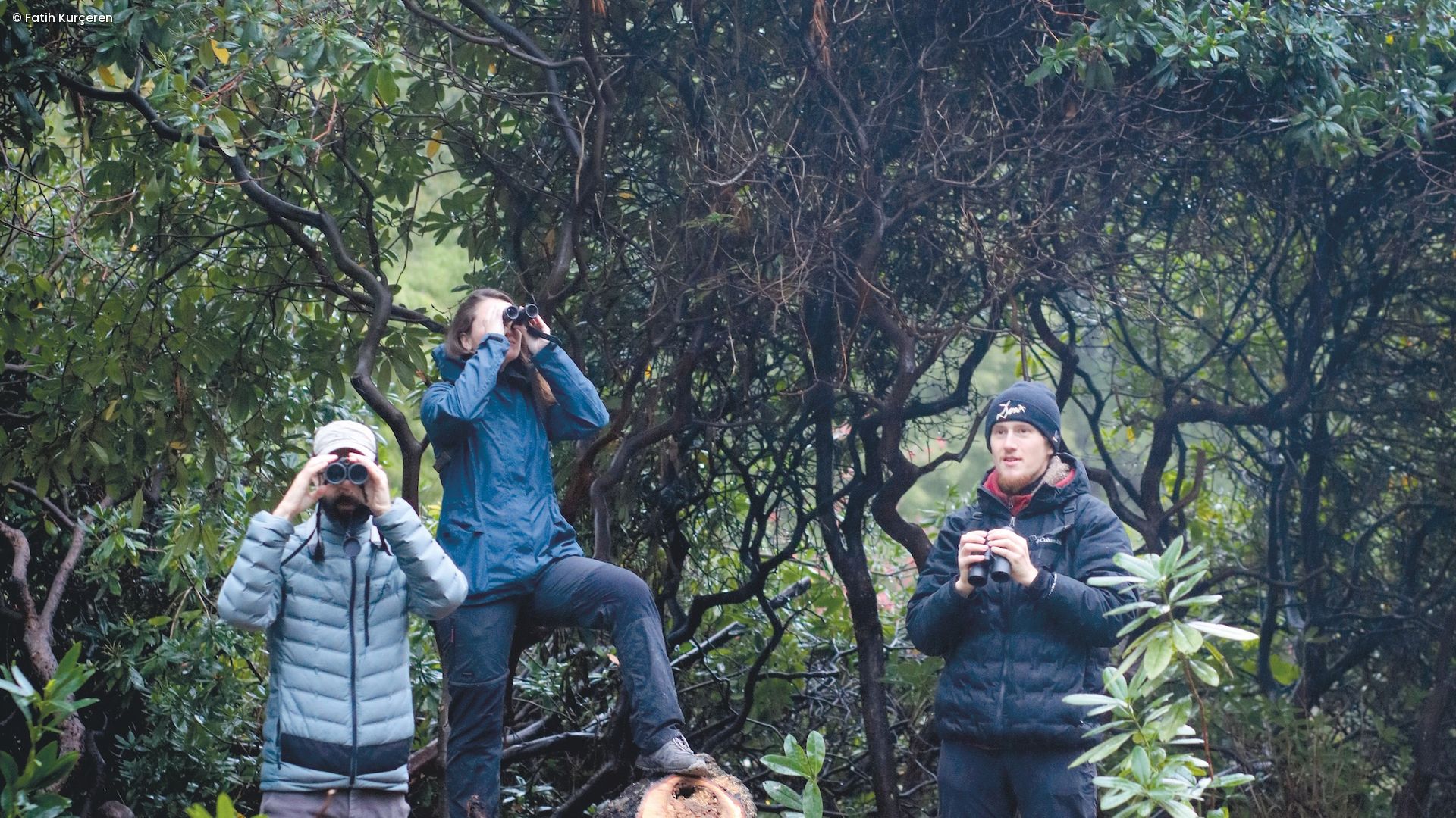 Dr. Nicholas Friedman und Doktorandin Veronika Samotskaya, Grigory Evtukh stehen mit Ferngläsern im Wald