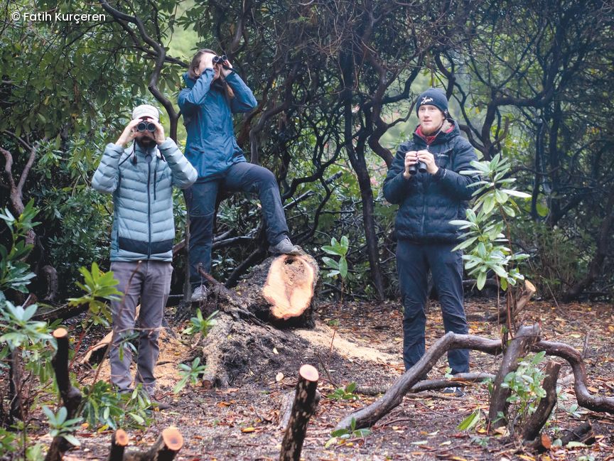 Dr. Nicholas Friedman und Doktorandin Veronika Samotskaya, Grigory Evtukh stehen mit Ferngläsern im Wald
