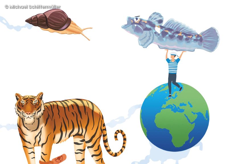 Illustration Weltkugel, Tiger, Schnecke